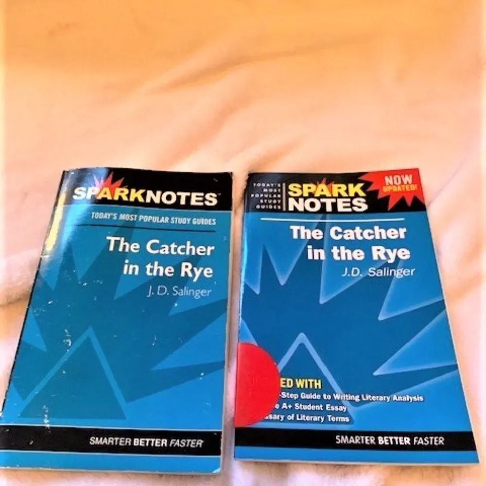Set 5 Study Guides for The Catcher in the Rye by JD Salinger - Picture 5 of 9